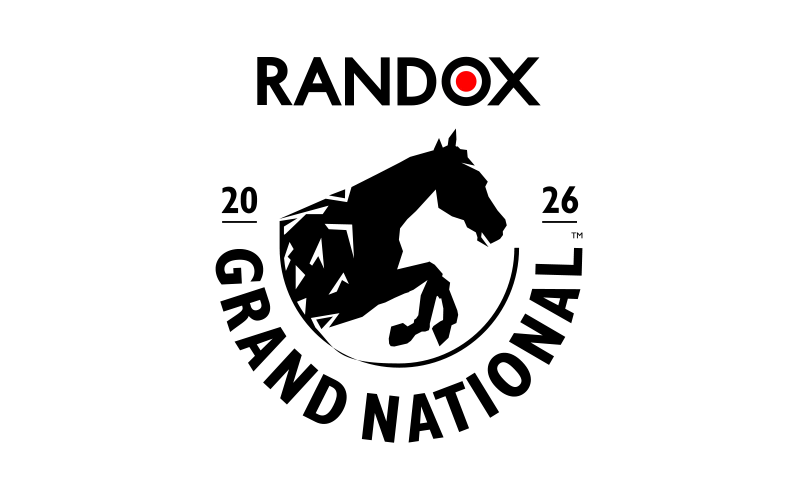Please note the Grand National tournament, where you can earn money by placing a bet on the Melbet platform.